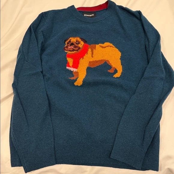 Bonobos Other - Bonobos Teal Sweater with Pug Design